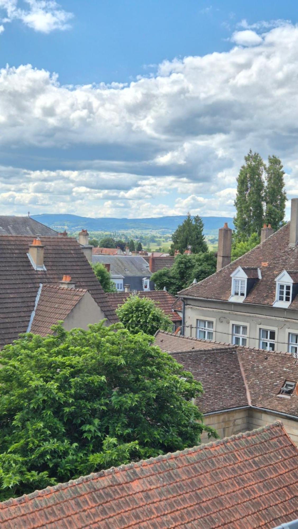Apartamento L'Arbre Voyageur Autun Exterior foto